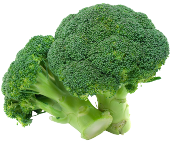 Fresh Broccoli Vegetable PNG Download