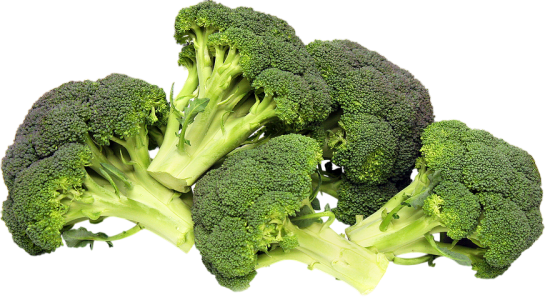 Fresh Broccoli Vegetable PNG Download