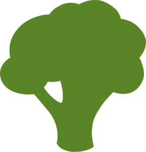 Fresh Broccoli Vegetable PNG Download