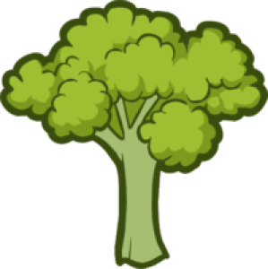 Fresh Broccoli Vegetable PNG Download