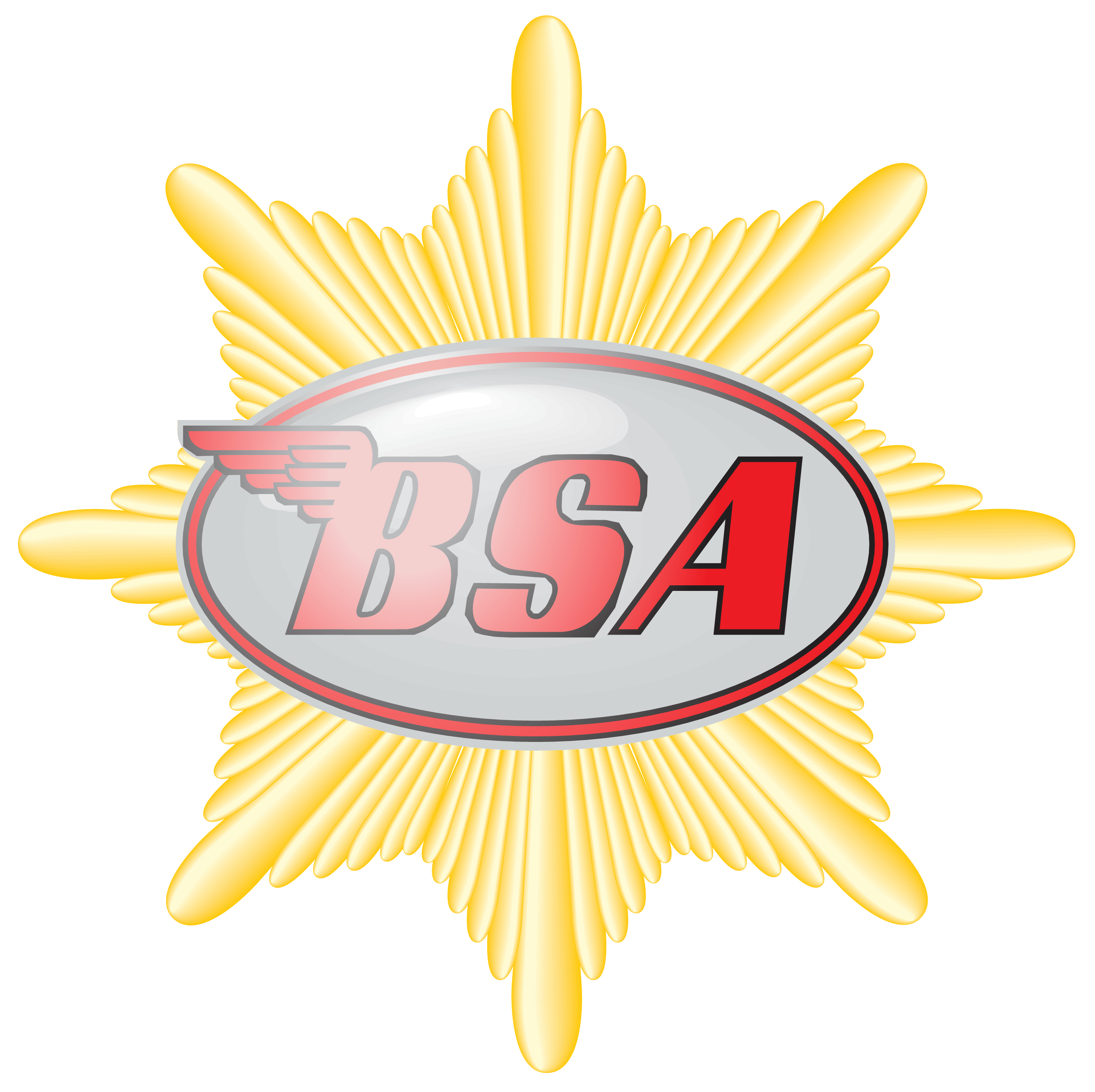 BSA Logo PNG Transparent Image 2