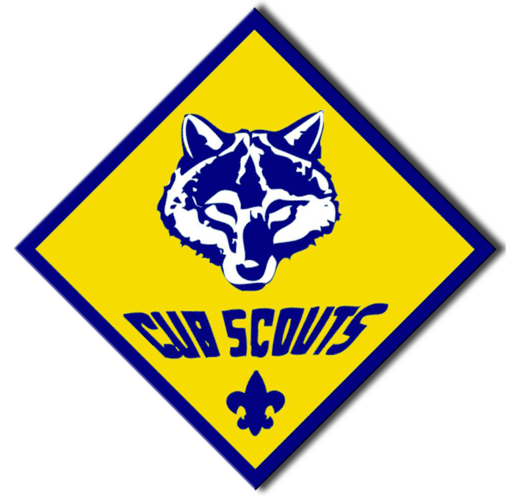 BSA Logo PNG Transparent Image