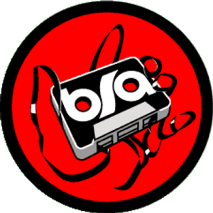 BSA Logo PNG Transparent Image 9