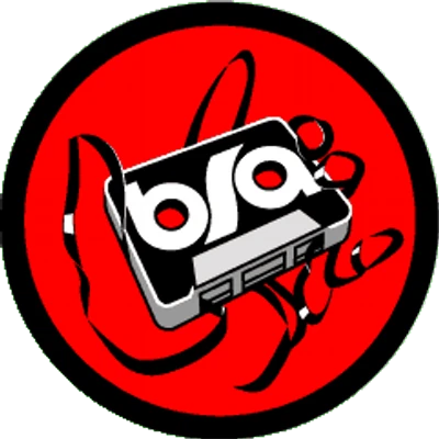 BSA Logo PNG Transparent Image