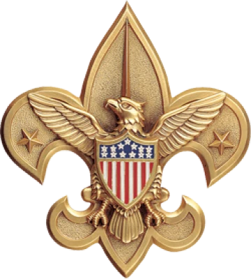 BSA Logo PNG Transparent Image