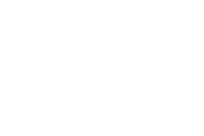BSA Logo PNG Transparent Image
