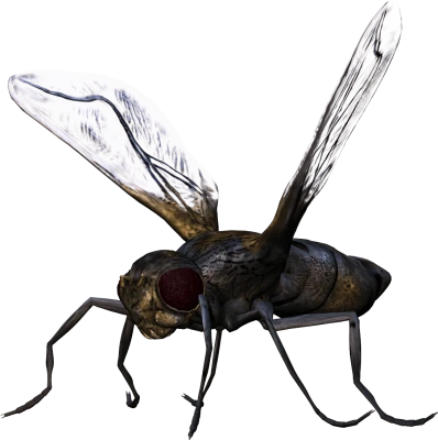 Bug PNG Transparent Image