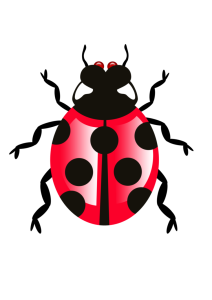 Insect/Bug Illustration PNG Download 5