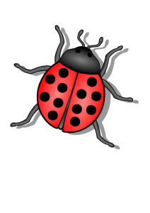Insect/Bug Illustration PNG Download 7
