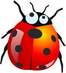 Insect/Bug Illustration PNG Download