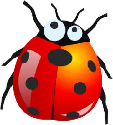 Insect/Bug Illustration PNG Download