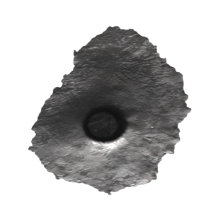 Bullet Hole PNG Transparent Image 1