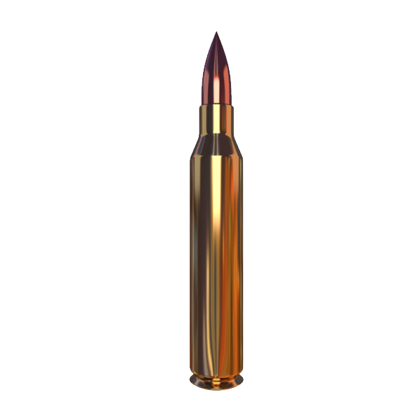 Ammunition Bullet PNG Download 6
