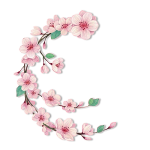 Bunga Clipart PNG Transparent Image 1