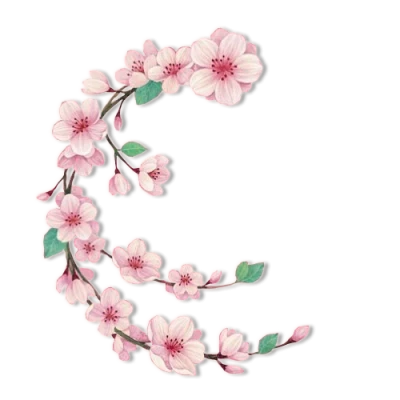Bunga Clipart PNG Transparent Image