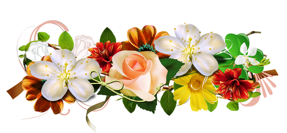 Bunga Clipart PNG Transparent Image 3