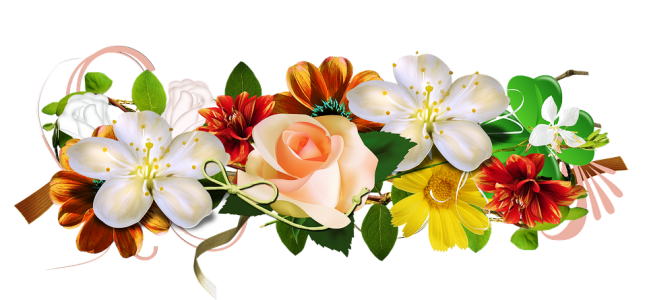Bunga Clipart PNG Transparent Image 3
