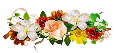 Bunga Clipart PNG Transparent Image