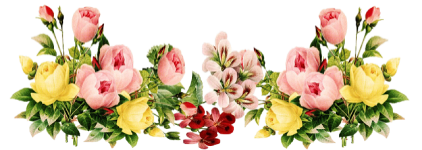 Bunga Clipart PNG Transparent Image 5