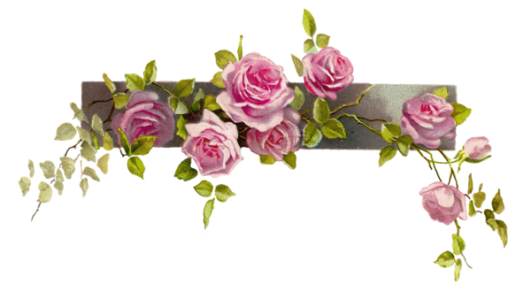Bunga Clipart PNG Transparent Image 7