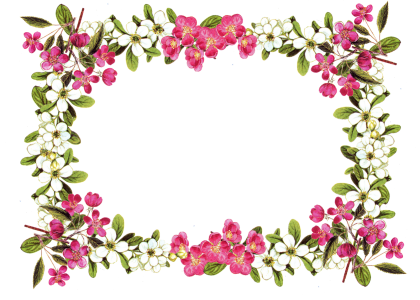 Bunga Clipart PNG Transparent Image 10