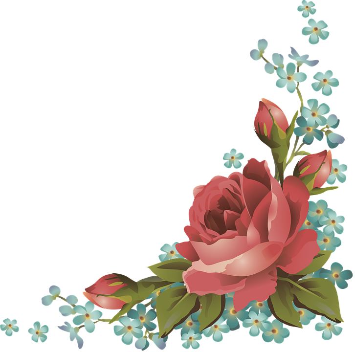 Flower/Bunga Illustration PNG Download 5