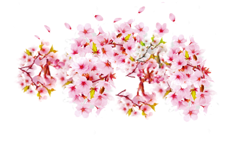 Flower/Bunga Illustration PNG Download 6