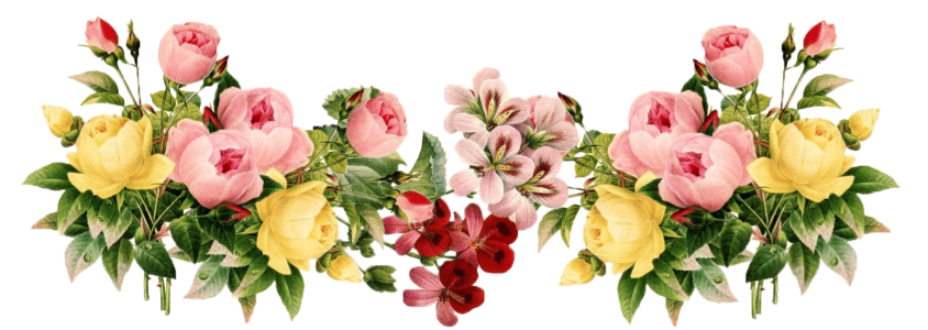 Flower/Bunga Illustration PNG Download 10