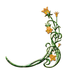 Flower/Bunga Illustration PNG Download 5