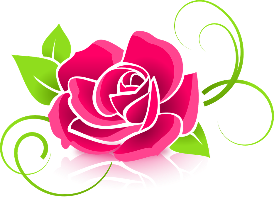 Flower/Bunga Illustration PNG Download 17