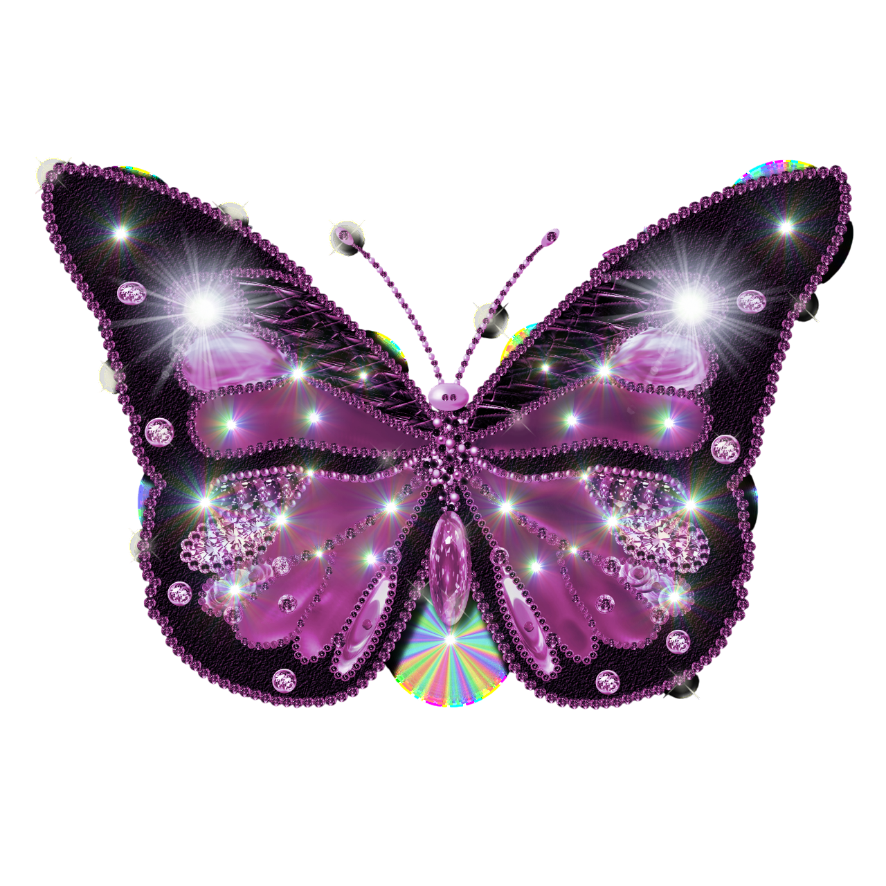 Butterfly PNG Transparent Image