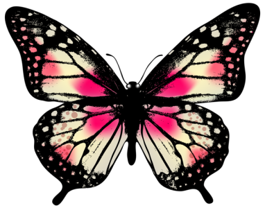 Colorful Butterfly Illustration PNG Download 6