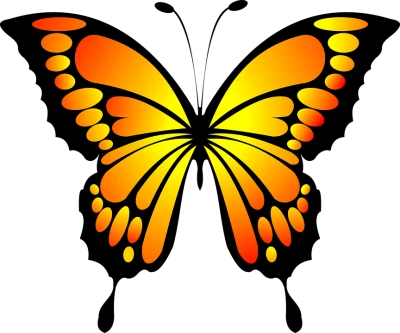 Colorful Butterfly Illustration PNG Download