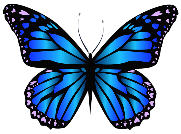 Colorful Butterfly Illustration PNG Download 12