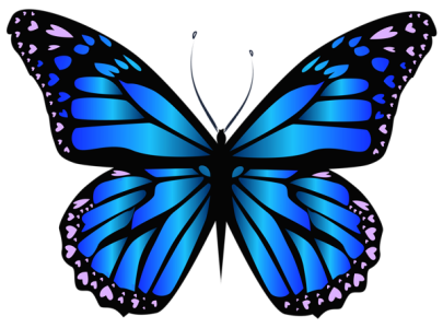 Colorful Butterfly Illustration PNG Download 12