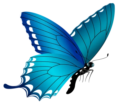 Colorful Butterfly Illustration PNG Download