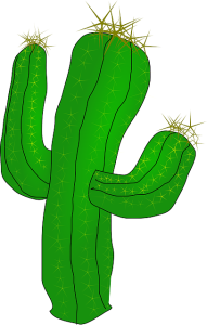 Desert Cactus Illustration PNG Download 2