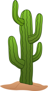 Desert Cactus Illustration PNG Download 4