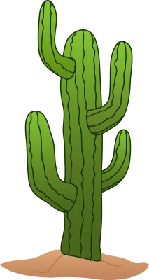 Desert Cactus Illustration PNG Download
