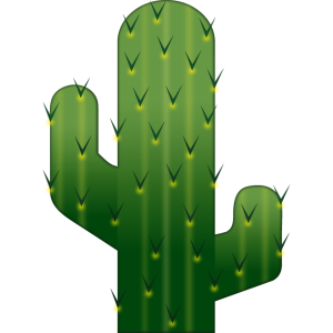 Desert Cactus Illustration PNG Download 5