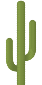 Desert Cactus Illustration PNG Download 8