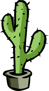Desert Cactus Illustration PNG Download 11