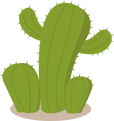 Desert Cactus Illustration PNG Download 15