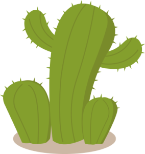 Desert Cactus Illustration PNG Download 15