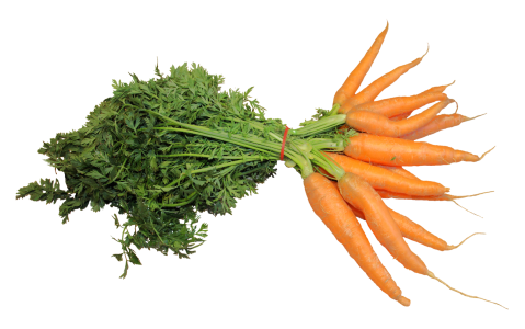 Carrot Vegetable PNG Transparent Image 2