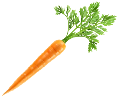 Carrot Vegetable PNG Transparent Image