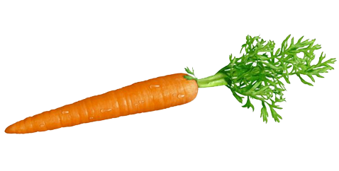 Carrot Vegetable PNG Transparent Image