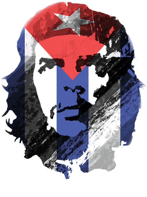 Che Guevara Portrait PNG Download