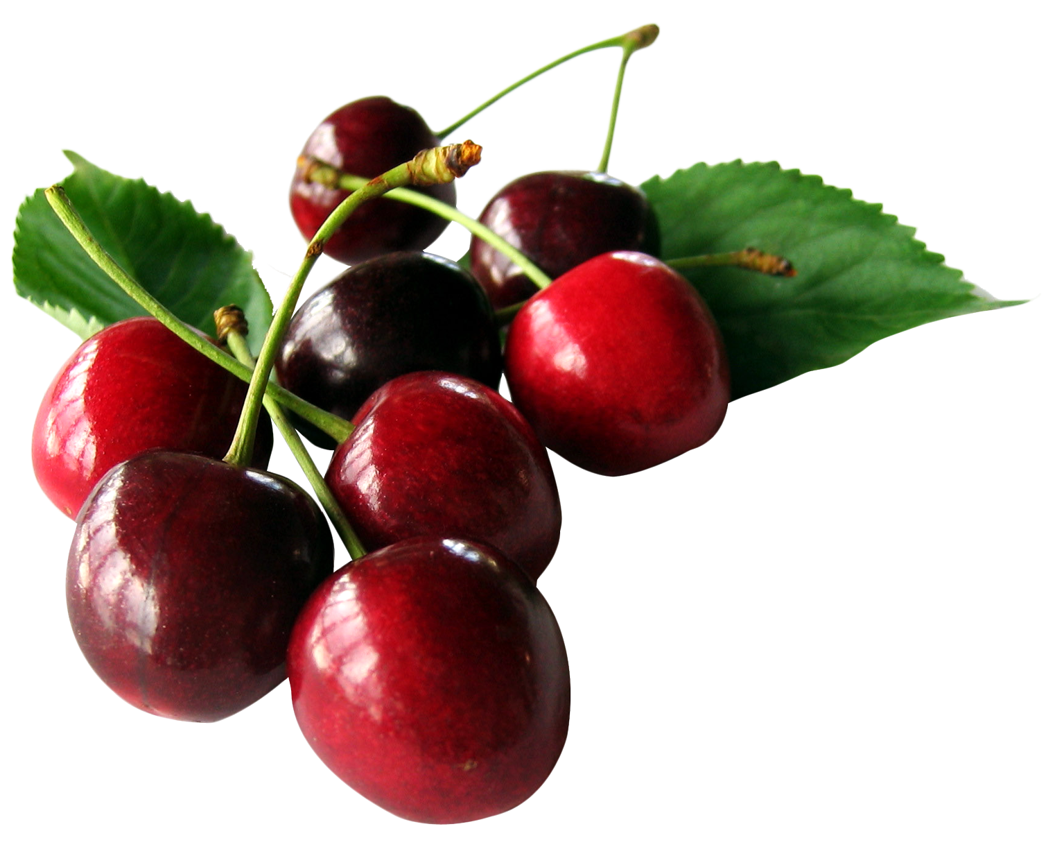 Cherry PNG Transparent