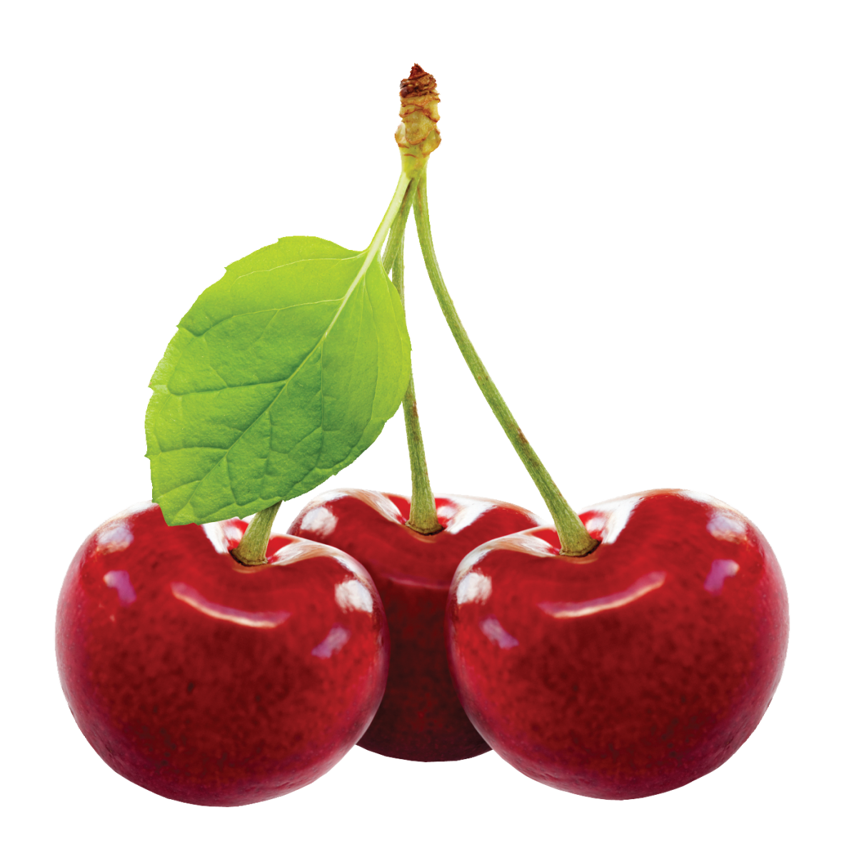 Cherry PNG Transparent